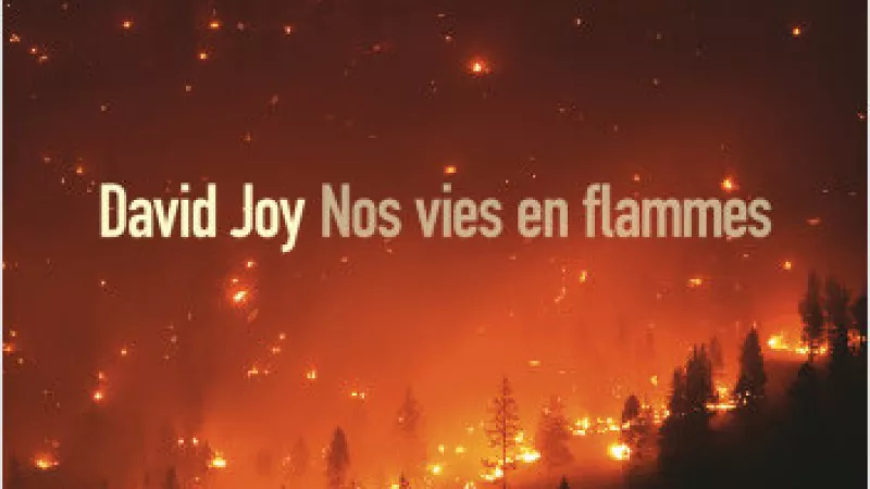 Nos vies en flamme (Joy - Sonatine)