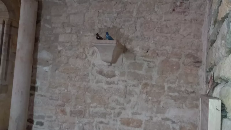 ® RCF34 2022 - Vézelay, les colombes de St François d’Assise dans la chapelle de la Cordelle