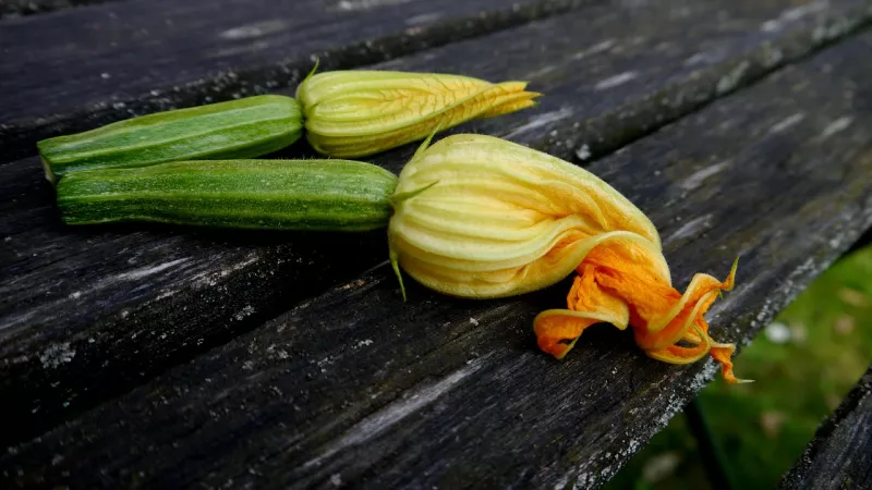 On mange le fruit, mais la fleur de manque pas d'intérêts également. @ Jörg Husemann de Pixabay