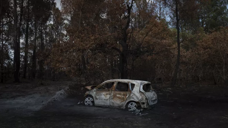 Entre le 9 août et le 14 aout, 7.400 hectares de forêt ont brûlé près d'Hostens, en Gironde, le 14/08/2022 ©Valentina Camu / Hans Lucas