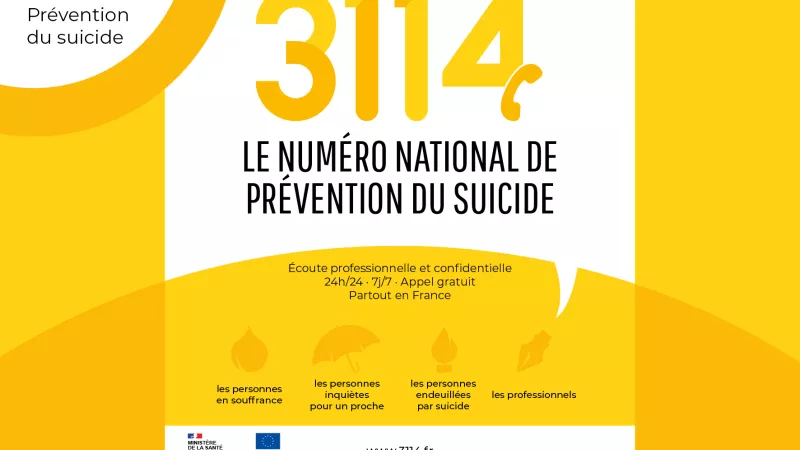 Affiche de prévention du 3114