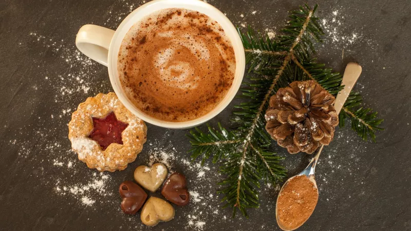 Quoi de plus réconfortant que le fameux Chocolat chaud de Noël à l’ancienne, version végé ! ©Pixabay
