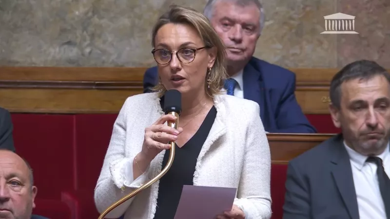 Delphine Lingemann à l'Assemblée Nationale