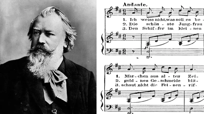 © Montage Wikimedia Commons. Johannes Brahms à la fin de sa vie.