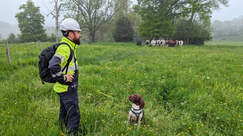 Lewis et son chien Kilo à la recherche de fuite d'eau