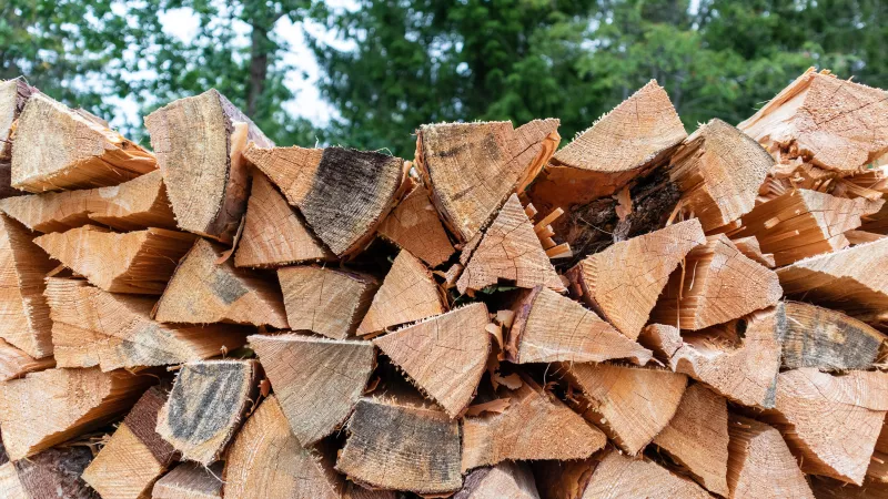 Depuis 2020, les commandes en bois de chauffage ne font qu'augmenter, il devient aujourd'hui compliqué d'y répondre.