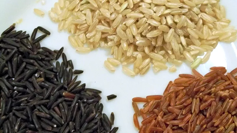 Variétés de riz de Camargue