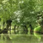 parc-marais-poitevin.fr
