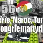 aps.dz(Algérie Presse Service/oumma.com/wikicommons/X de ​zakhor-online.com