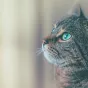 James Sutton via Unsplash