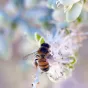 Anson Aswat - Unsplash