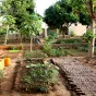CCFD Terre Solidaire - Agro-écologie au Mali