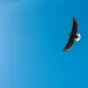 Photo by Rachel McDermott on Unsplash