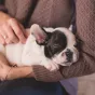 © Image d'illustration - Unsplash.com