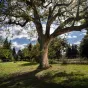 Coup de cœur touristique  Castelnaudary