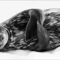 Ralf Schneider - Wildlife Photographer of the Year