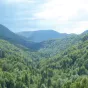 Titre Conservatoire d'espaces naturels de Bourgogne sur fond vert de rubrique Écologie avec le logo du CEN centré en bas