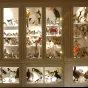 musée Chintreuil