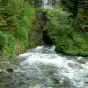 2020 - DR - L'Agence de l'eau Rhône Méditerranée Corse lance un nouvel appel à projets pour protéger la biodiversité des milieux aquatiques et humides comme le Doubs