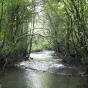 Titre La Nature coule près de chez vous sur fond vert de rubrique Écologie et Solidarité avec en illustration à droite un dessin vert et bleu d'un cours d'eau avec cascade entre les rochers et les arbres