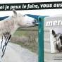 Le Mag de l'environnement