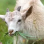 Commune Planète en Provence - Le magazine de l'écologie