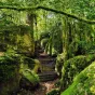La Dépêche du Midi