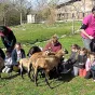 La Dépêche du Midi