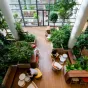 Jardins de Gally