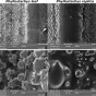  la surface de la feuille de la même espèce de bambou, à gauche la feuille « réelle », à droite sa réplique PDMS