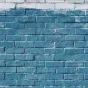 Patrick Thomasso on Unsplash
