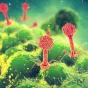 futura-sciences.com