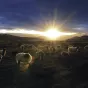 unsplash / mahyar motebassem