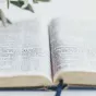 Photo by Carolyn V on Unsplash