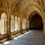 SofieLayla Thal de Pixabay