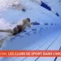 L'invité