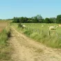 Le Mont Olivet dans le Revermont