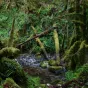 Le Mag de l'environnement