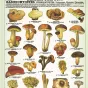 Eyrolles