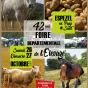 Le Mag (Pays d'Aude)