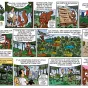 Planche de BD « La forêt méditerranéenne vue par un écureuil curieux » - ONF/CNPF, Cire Illustrateur. 