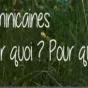dominicaines.org
