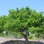 passionprovence.org