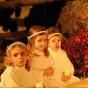 Crèche Vivante de Sainte Anne d'Auray