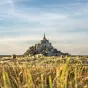 Dan Wilding / Unsplash