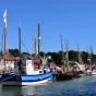 Semaine du Golfe 2017 à Saint Goustan, Auray