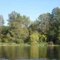 Titre Conservatoire d'espaces naturels de Bourgogne sur fond vert de rubrique Écologie avec le logo du CEN centré en bas