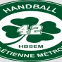handballsem42.fr