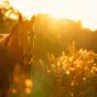 © Image d'illustration - Unsplash.com
