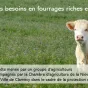 Vignette Invité local sur fond rouge de rubrique actualité avec en bas à droite le micro RCF et la mention Nièvre